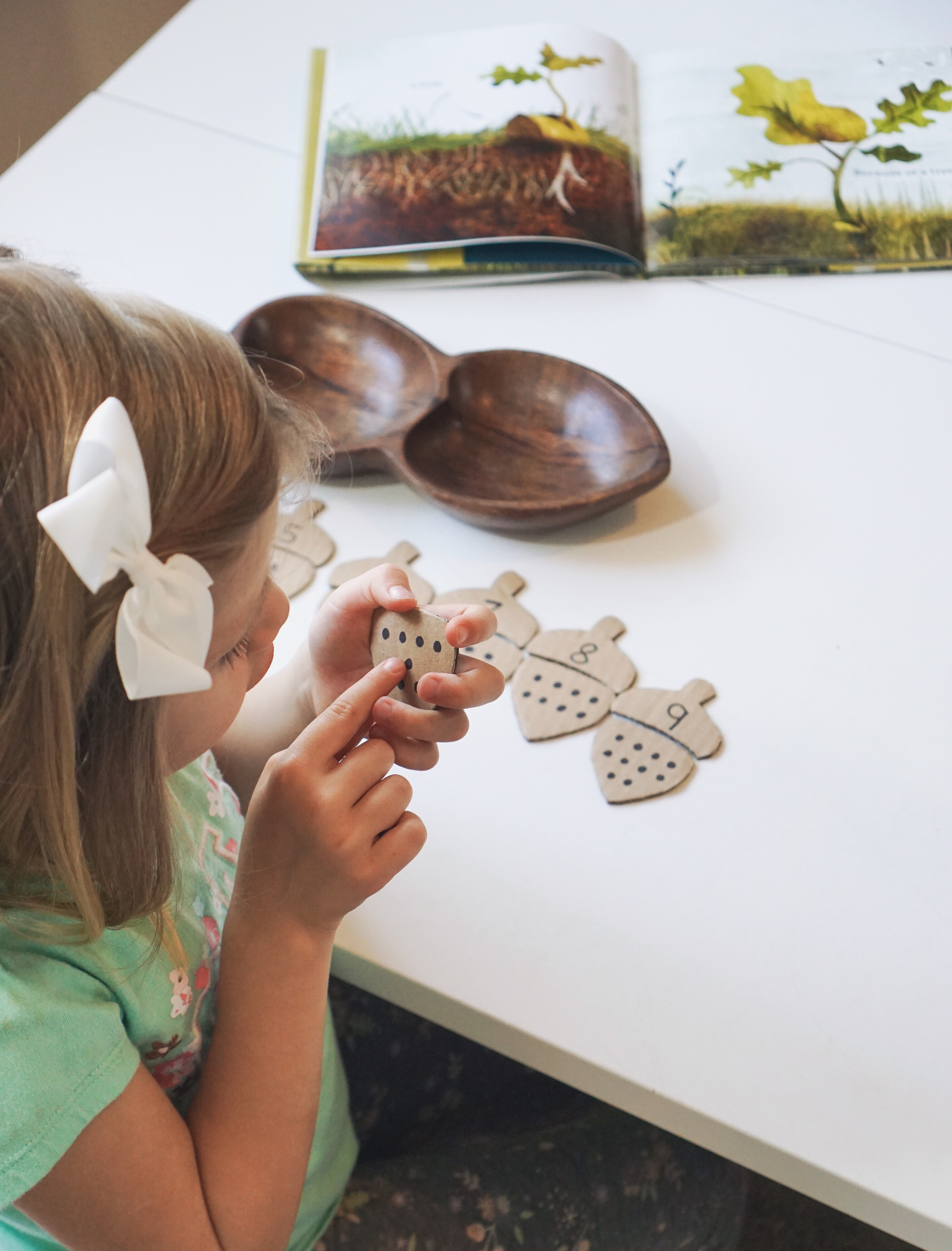 3 Rompecabezas Botánicos para La Educación Temprana De Los Niños Bebés Material Botánico Montessori